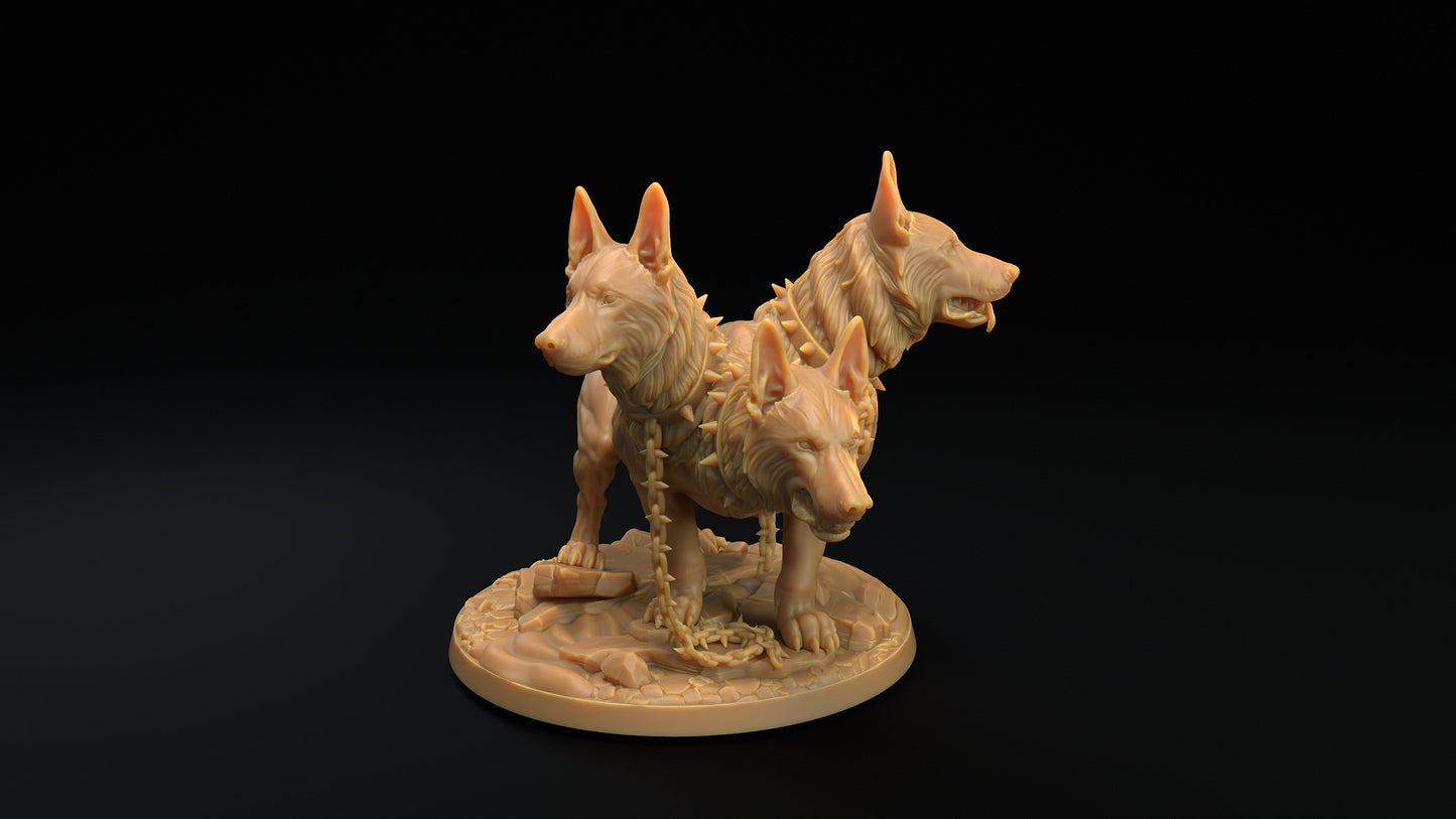 Modular Cerberus | RPG Miniature for Dungeons and Dragons|Pathfinder|Tabletop Wargaming | Monster Miniature | Dragon Trappers Lodge