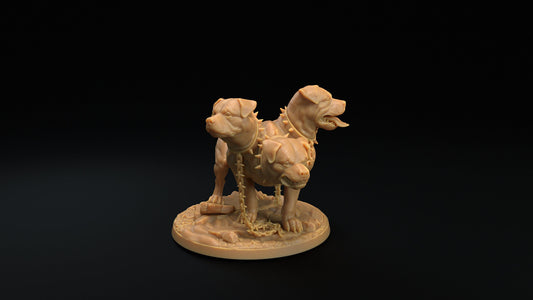 Modular Cerberus | RPG Miniature for Dungeons and Dragons|Pathfinder|Tabletop Wargaming | Monster Miniature | Dragon Trappers Lodge