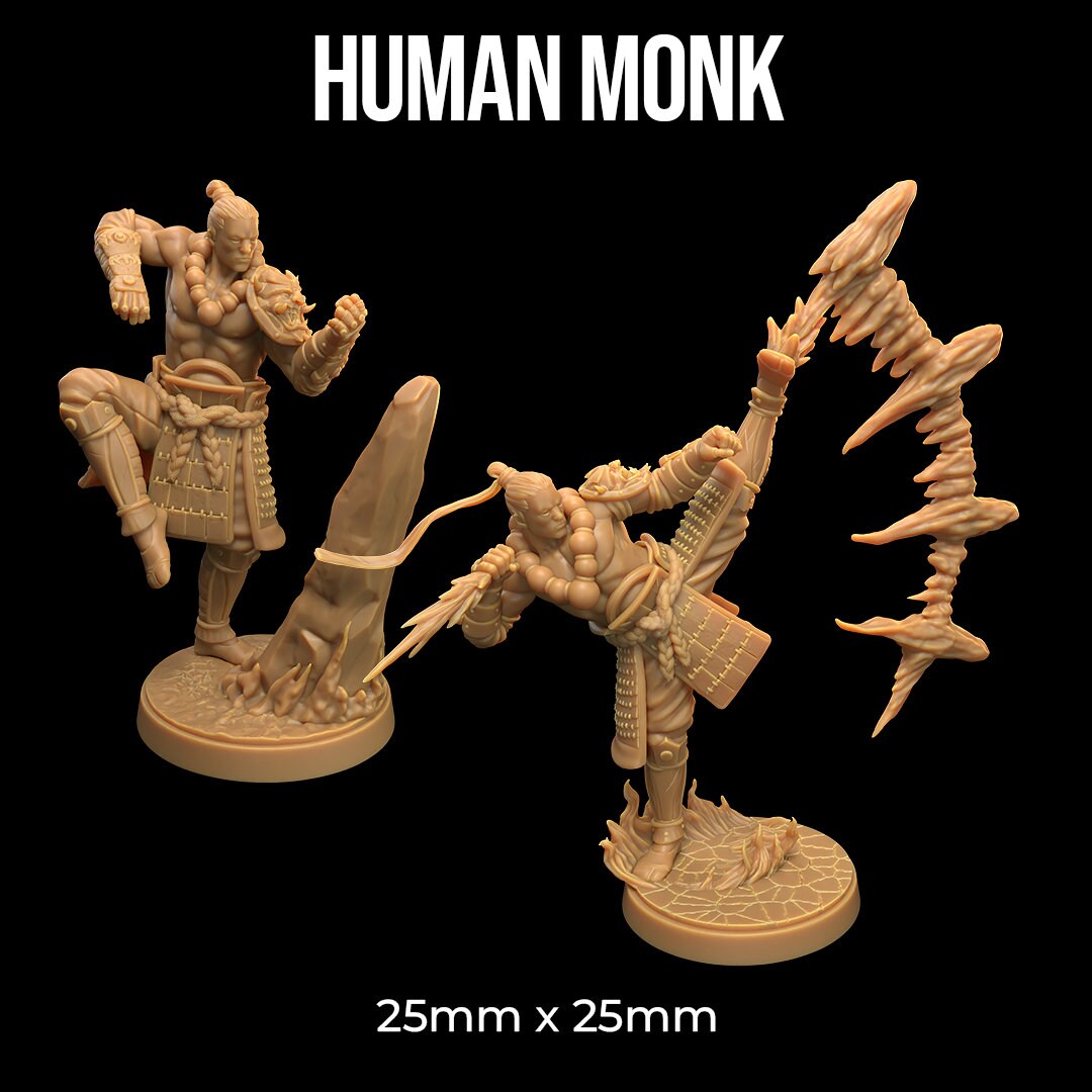 Human Monk | RPG Miniature for Dungeons and Dragons|Pathfinder|Tabletop Wargaming | Human Miniature | Dragon Trappers Lodge