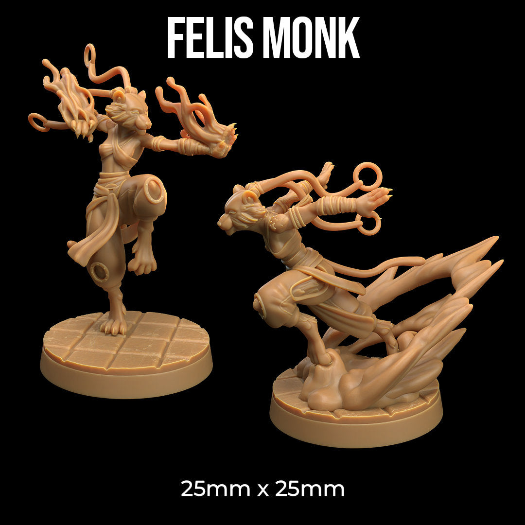 Felis Monk | RPG Miniature for Dungeons and Dragons|Pathfinder|Tabletop Wargaming | Humanoid Miniature | Dragon Trappers Lodge
