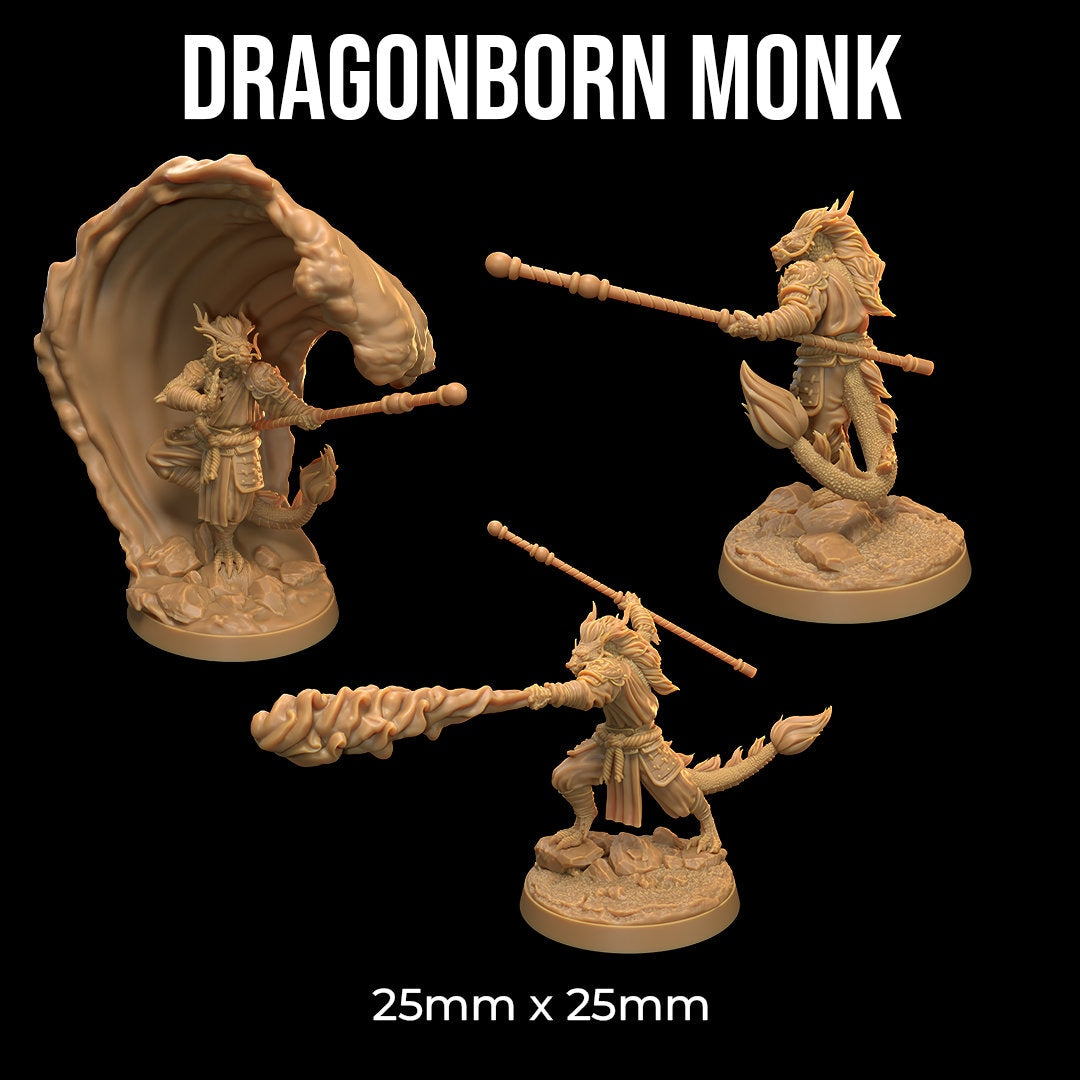 Dragonborn Monk | RPG Miniature for Dungeons and Dragons|Pathfinder|Tabletop Wargaming | Humanoid Miniature | Dragon Trappers Lodge